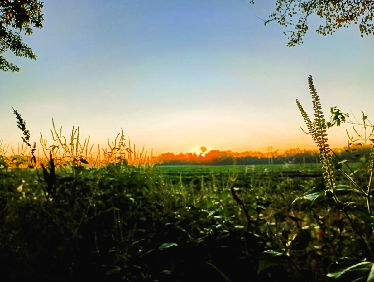 Sunrise over rural southwestern Vigo County ... It's Tuesday, Hauteans. #TuesdayFeeling #sunrise #sunrisephotography