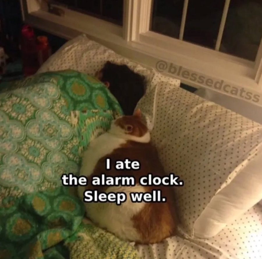 naiivememe's tweet photo. Good night pre-rich frens https://t.co/4PglnujcSa