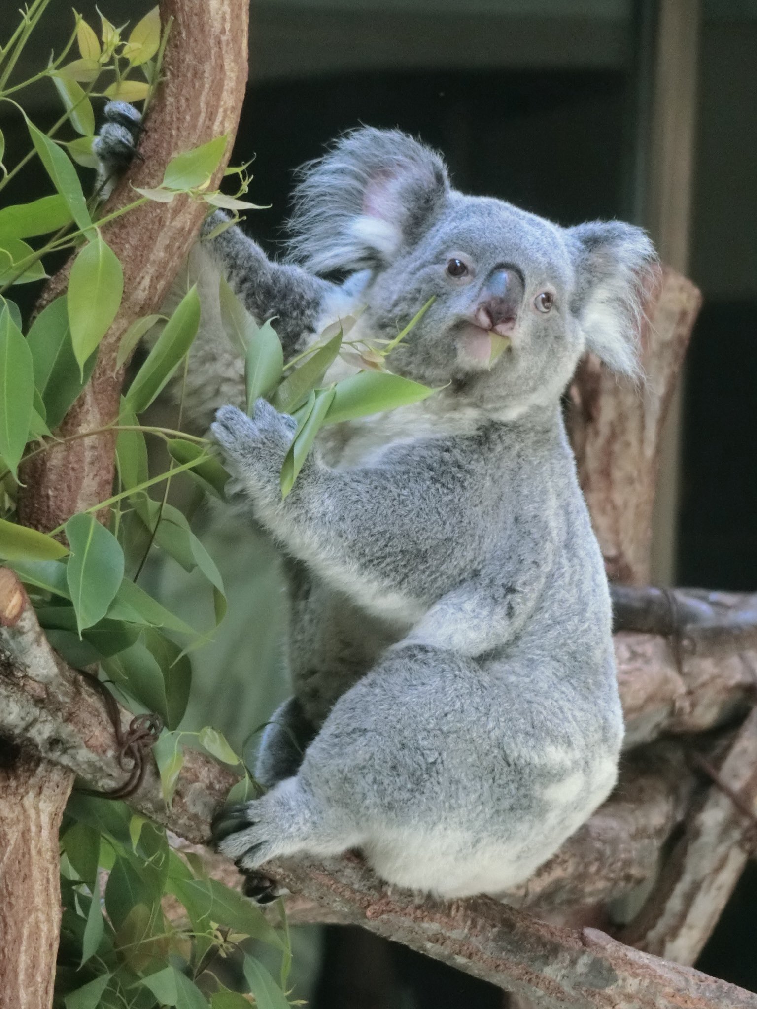 なお (@na_a_m_sm) / X