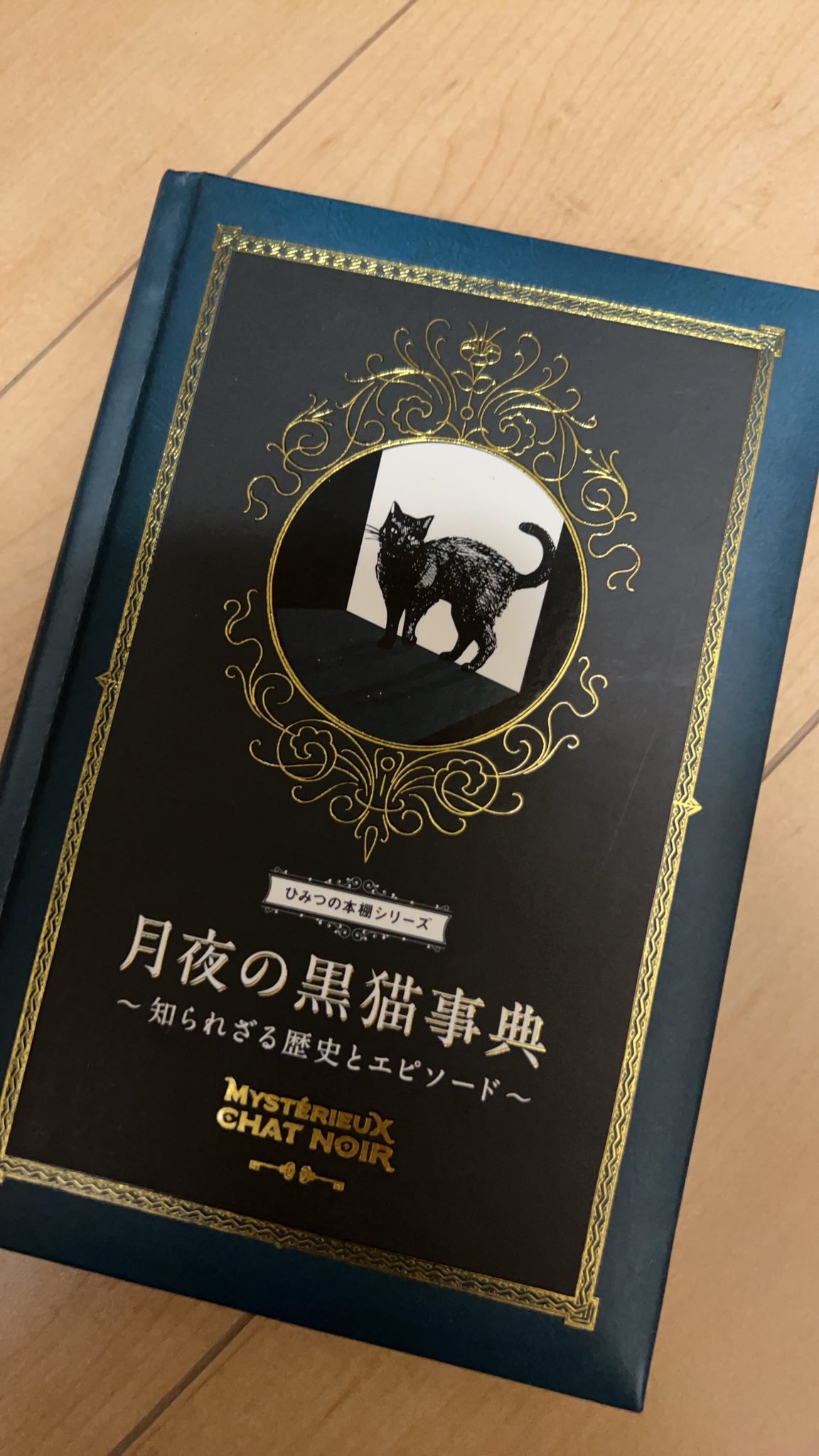 カレン 気まま猫カレンダー2026｜青幻舎 SEIGENSHA Art Publishing, Inc.