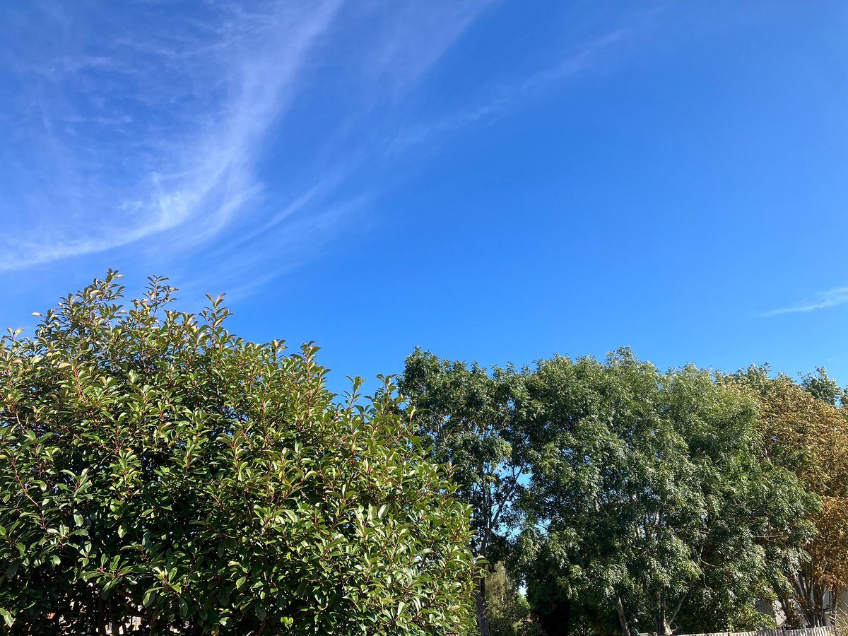 Out the window - 

#weatherwatchers #summertime #Autumn2025 #tuesdaythoughts