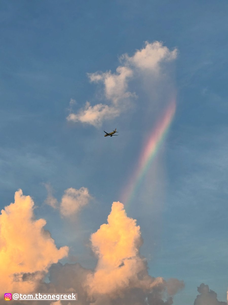 MCO photo