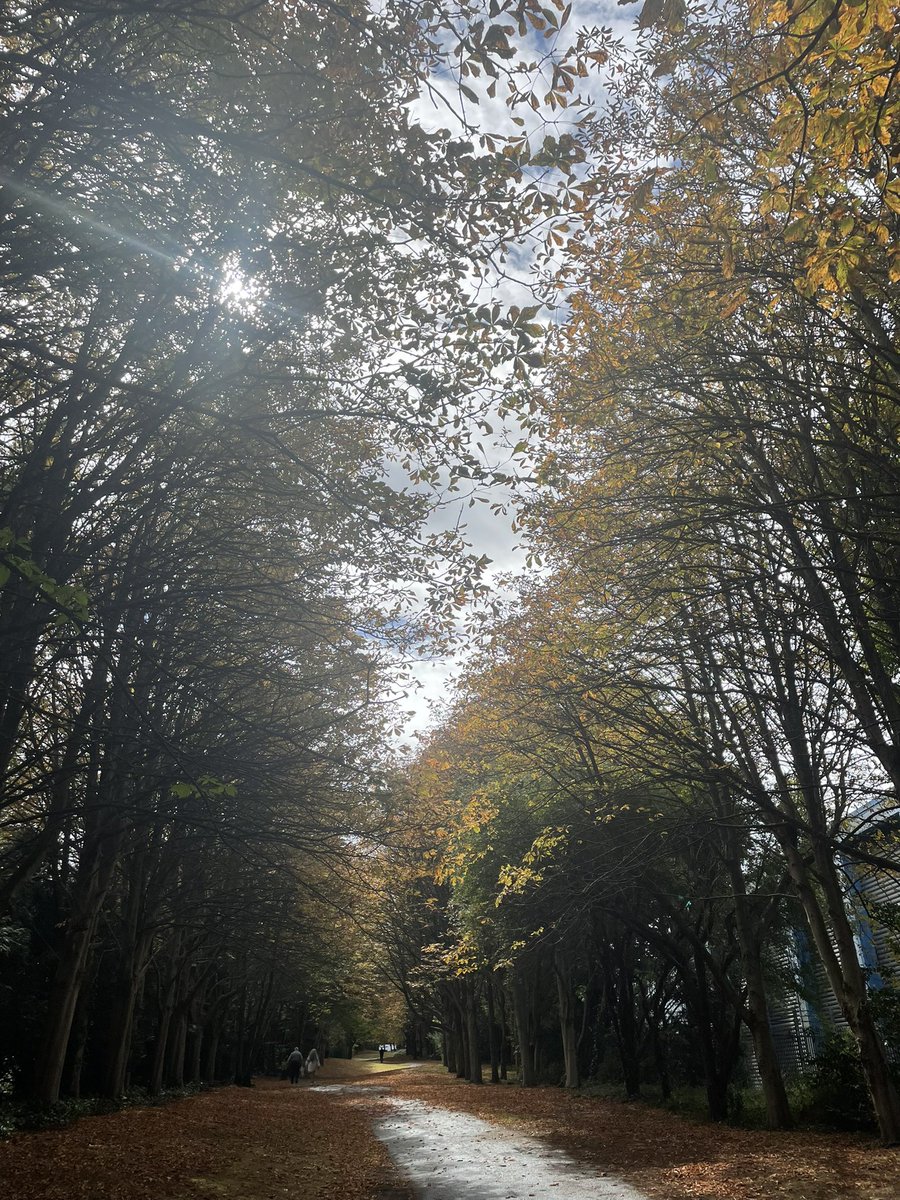 calebt__'s tweet image. Appreciating nature is too underrated