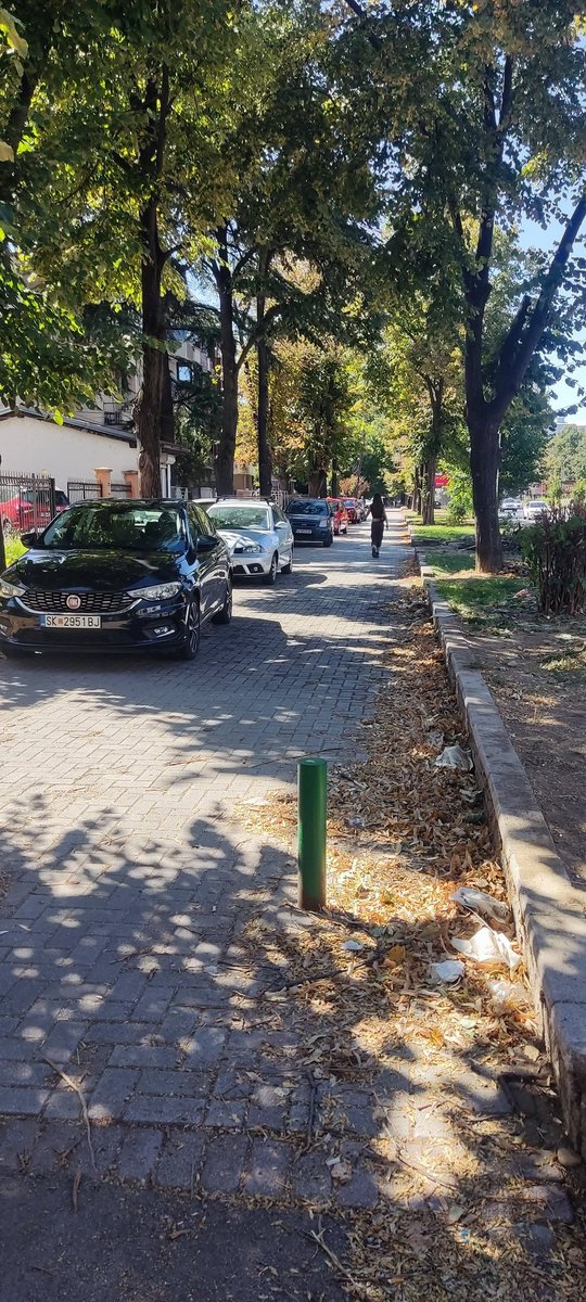 Лека полека Партизанска си стана див јавен паркинг. 
Просто неверојатно што ни се случува во 2025, буквално единствениот град во Европа што се враќа назад во развојот.