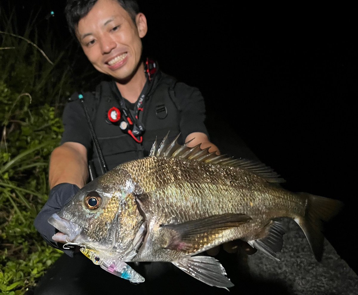 NORTHERN LIGHTS (@northern_528) / Posts / X