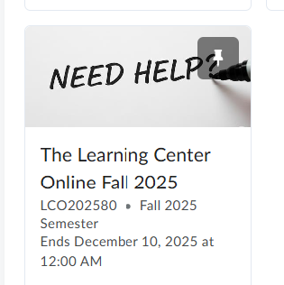 A popular service offered by the Learning Centers is the Learning Center Online (LCO). You can submit papers for any class and get feedback from a tutor on how to improve your work. Look for the picture below in your Momentum list of courses to access the LCO.