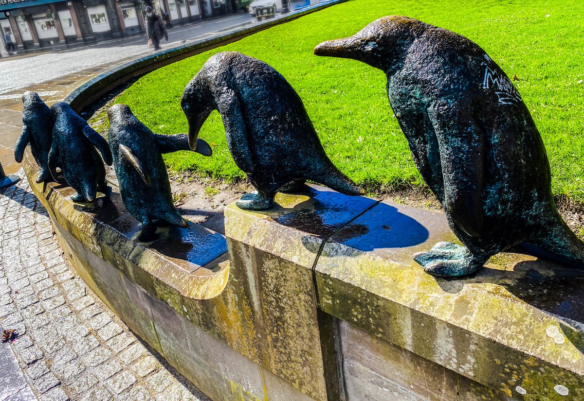 #AlphabetChallenge #weekJforJetBlack
The Penguins of Dundee