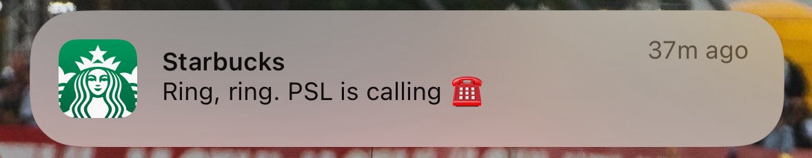 mcwebste's tweet image. Starbucks is writing horror movies now. I will never hate anything more than pumpkin in a drink.