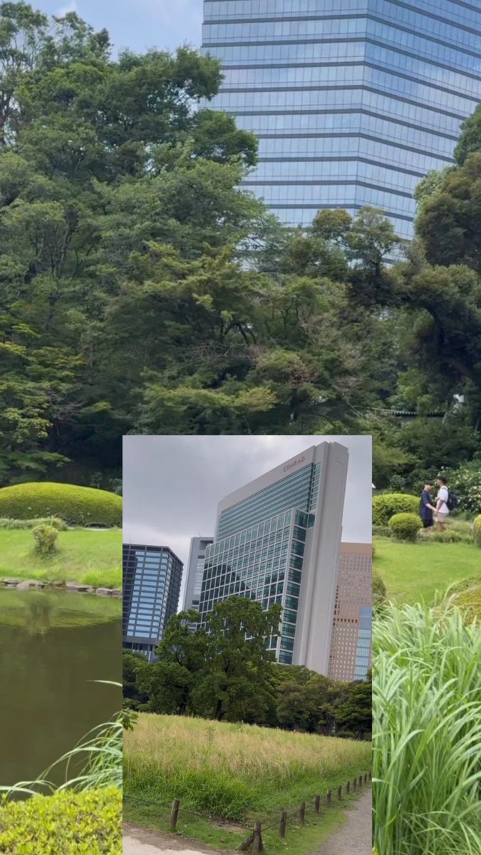 【You Tube Preview】

Title Shinjuku Gyoen &amp; Hama Rikyu Onshi Garden Collaboration

It will be posted on YouTube at 8 a.m. on Wednesday, September 3. Thank you for subscribing to the channel🙇
Second YouTube Channel (Fukurou)
Youtube.com/@fukuro-s88