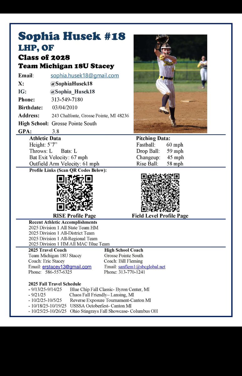 Team Michigan 18U Stacey tweet media