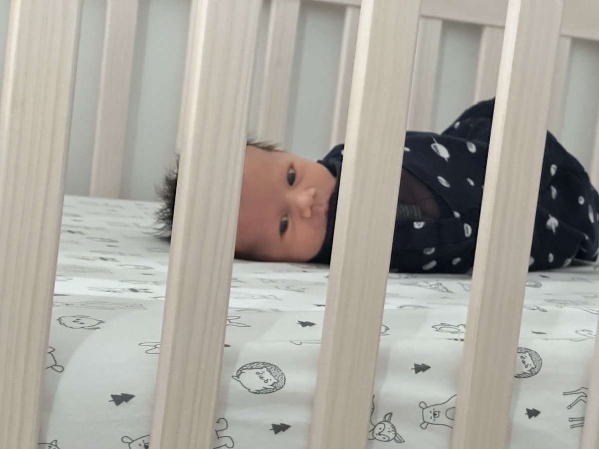 Alex Bores tweet media