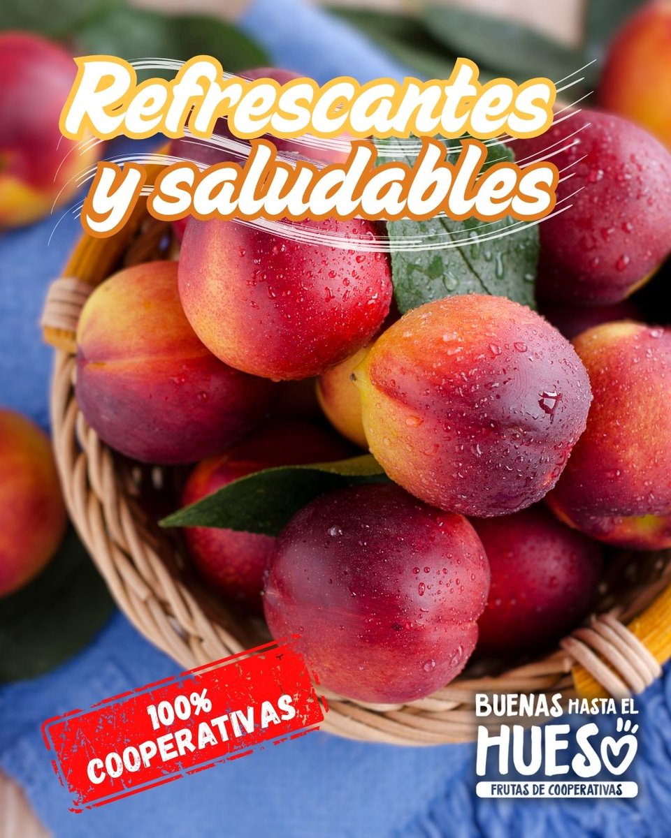 Fruta_de_Hueso's tweet image. Refrescantes, saludables y 100% de cooperativas ✨

Las nectarinas no solo te salvan en los días de calor, también son una forma deliciosa y saludable de apoyar al campo y a quienes lo hacen posible.

Cuando disfrutas una nectarina, disfrutas de mucho más que fruta ❤️