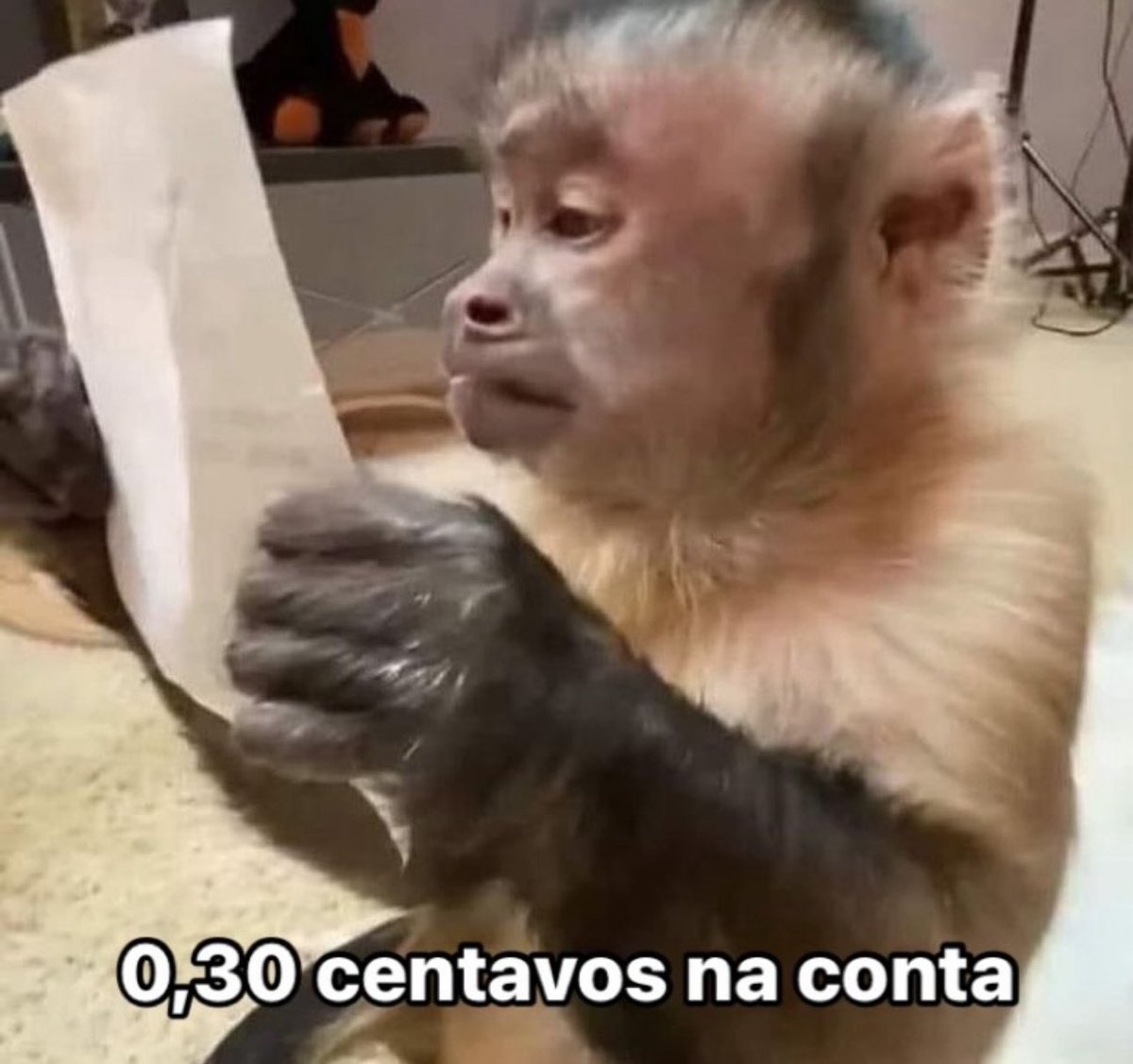 Senhora Gospel tweet media