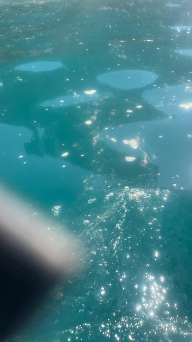 Es una pena que este sea el estado del agua de la playa de Cantarriján un paraíso natural q a las administraciones les da igual. Quién tiene la culpa? <a href="/AlmunecarAyto/">Almuñécar-Herradura</a> <a href="/MedioAmbAND/">Consejería de Sostenibilidad y Medio Ambiente</a> <a href="/mitecogob/">Transición Ecológica y Reto Demográfico</a> Alguna Administración hará algo? <a href="/SosGranada/">SOSGranada</a> <a href="/APNCantarrijan/">A.A.P.N Cantarrijan 🏖️</a> <a href="/greenpeace_esp/">Greenpeace España</a> <a href="/ecologistas/">Ecologistas en Acción</a>