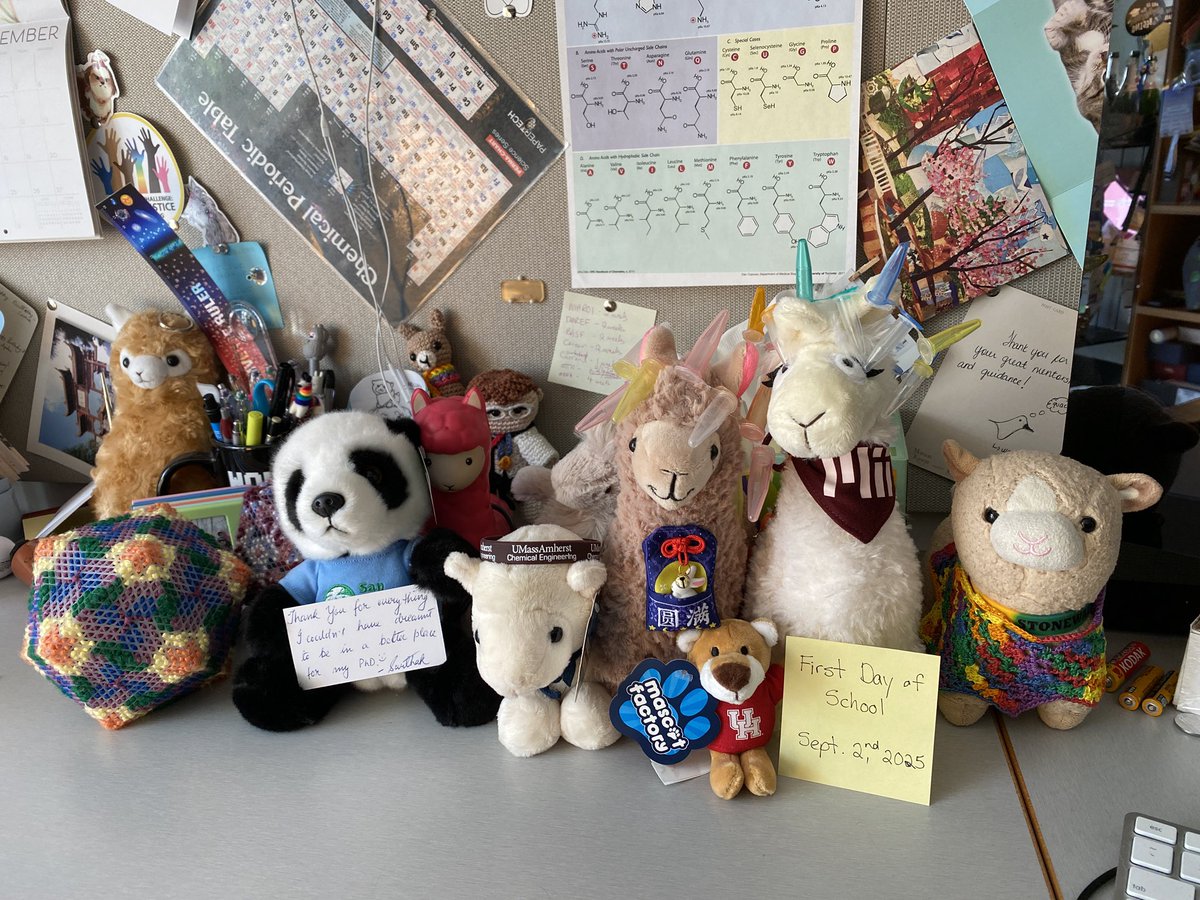 Happy #firstdayofschool! #LlabLlama