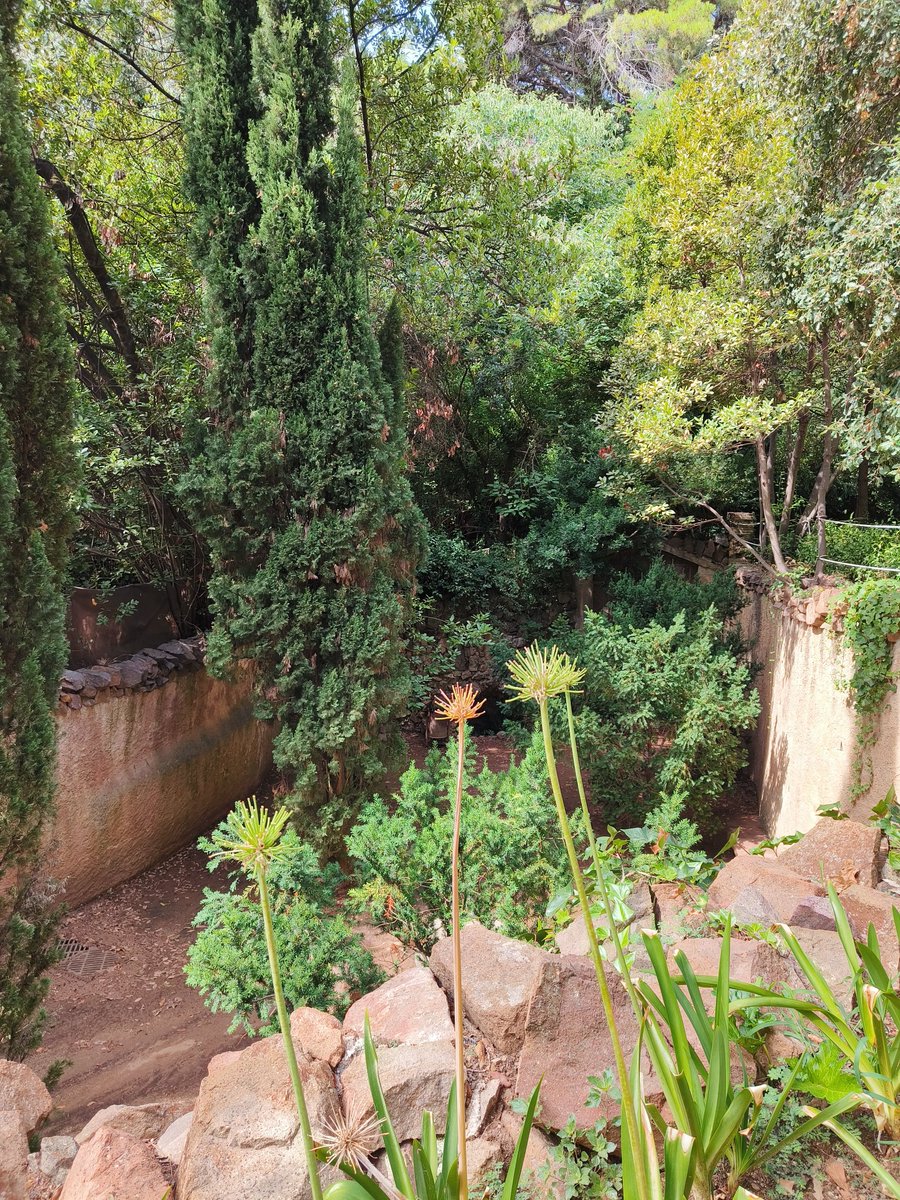 iglezfe's tweet image. Avui hem visitat el #laberint de @bcn_hg.
Tot i estar en obres, els seus jardins són un autèntic plaer.