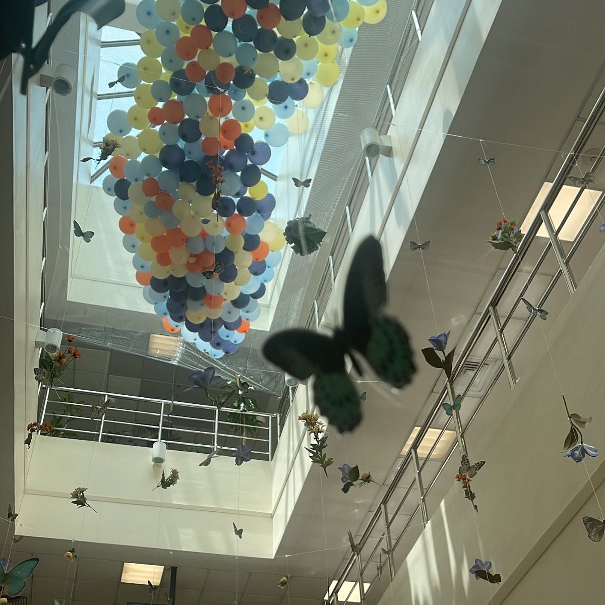 يوم جميل جداً مبسوطة بالنتيجة الي ظهرت 💞
انبسطت بشوفه دفعة ٢٥ كلهممم اتمنى بداية موفقة وجميلة لهم بكليتنا💫💫