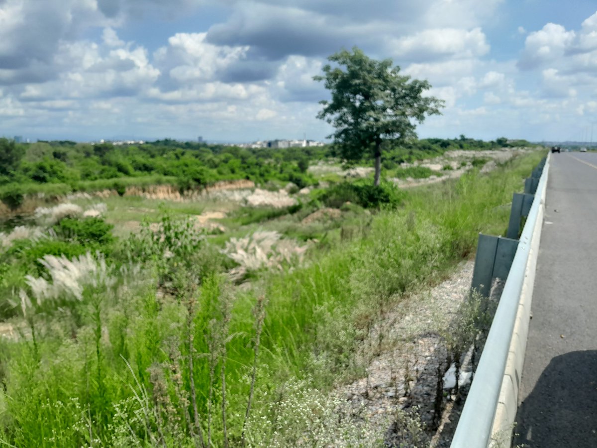 During Iran Avenue’s construction, trees were cut &amp; soil was excavated, leaving deep ditches on both sides. Despite promises, CDA &amp; NLC have neither filled them nor replanted trees.
<a href="/CDAthecapital/">Capital Development Authority - CDA, Islamabad</a>
<a href="/RandhawaAli/">Muhammad Ali Randhawa</a>
<a href="/dranamfatima/">Syeda Anam Fatima</a> 
<a href="/MohsinnaqviC42/">Mohsin Naqvi</a>

#Islamabad #CDA #Environmenturban