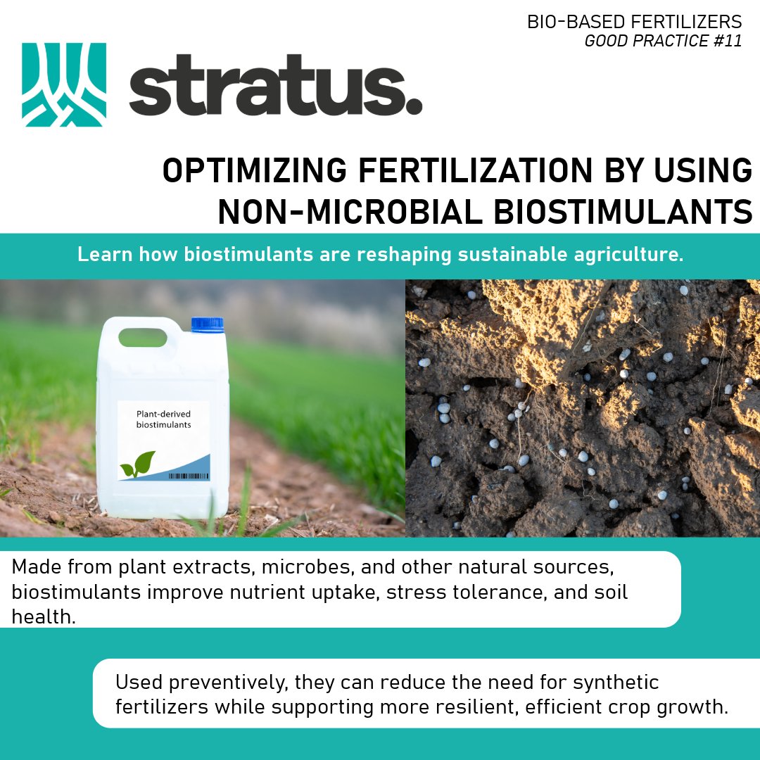 STRATUS is sharing the knowledge collected accross Eurpe to promote a more sustainable way to use fertilizers building a better future for agriculture.

👇Learn more here 👇
stratusproject.eu/wp-content/upl…