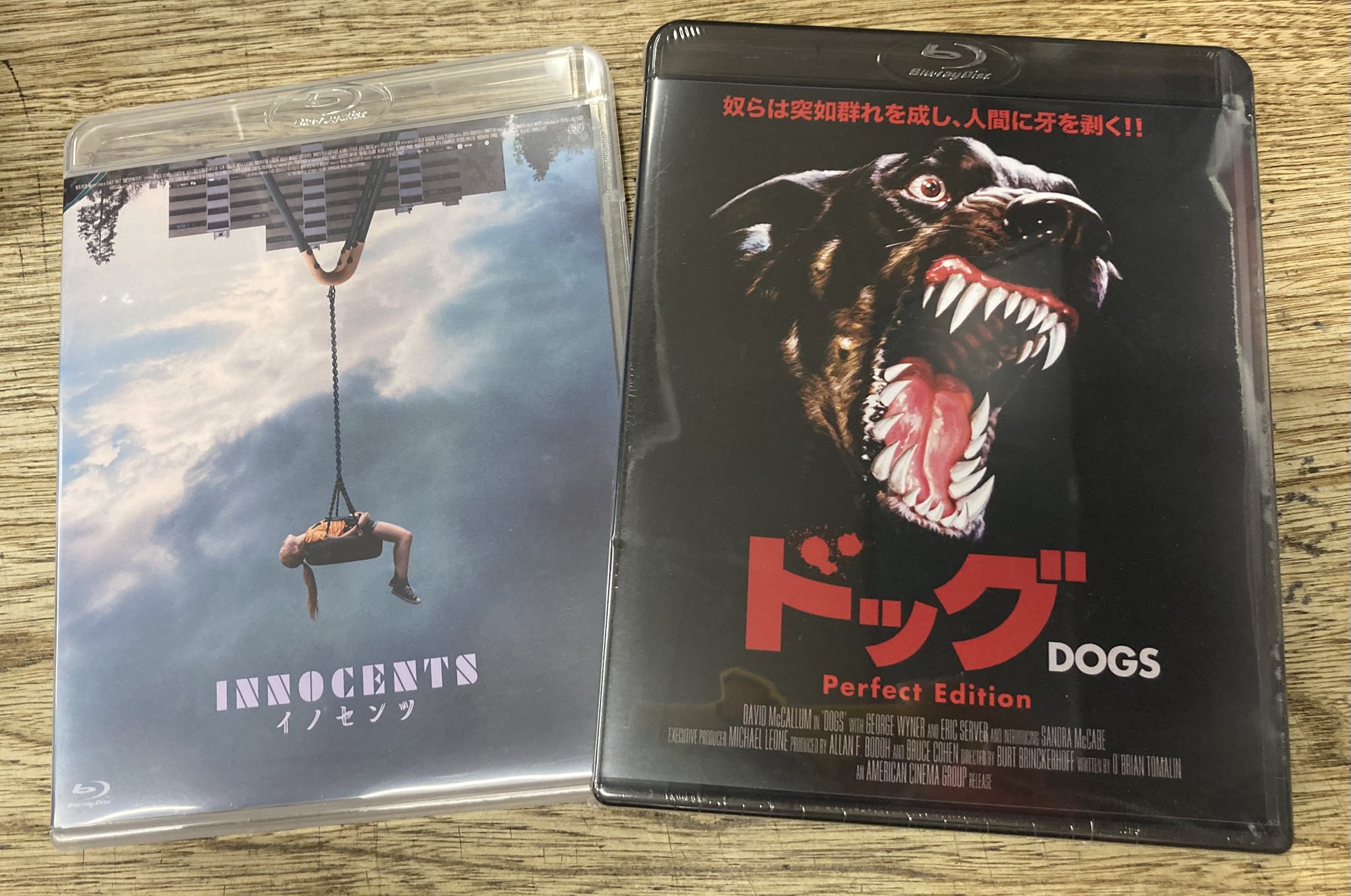 ドッグ perfect edition [Blu-ray] qqffhab Amazon.co.jp: Dog Perfect Edition, Blu-ray : デビッド