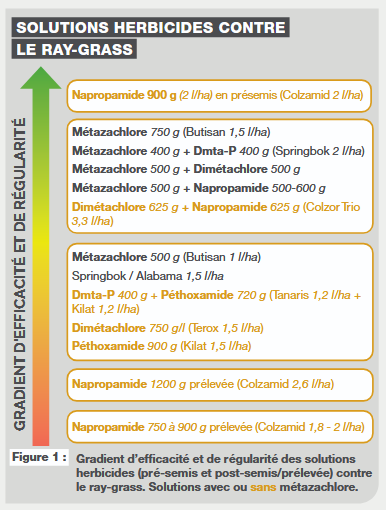 [GRAMINÉES]

Graminées adventices dans le #colza : multiplier les leviers contre ray-grass et vulpins
Maîtriser la concurrence des mauvaises herbes passe par la combinaison des moyens herbicides, mécaniques et agronomiques.

terresinovia.fr/-/graminees-ad…