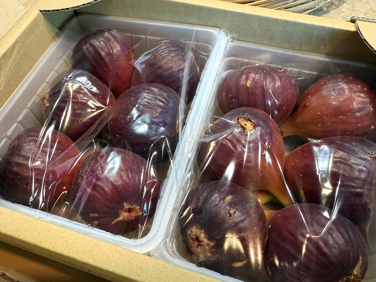 河南町長の森田昌吾さんを
スタジオにお迎えしました！
お久しぶりです🌱

今回は、今が旬の「いちじく」を
持ってきていただきました💫
もう、最っっ高です🥰✨

道の駅かなんで、本当に美味しい
朝採り新鮮いちじくが買えるのでぜひ🕺
🔗osaka-michinoeki-kanan.jp

#インテンス851 #FM大阪