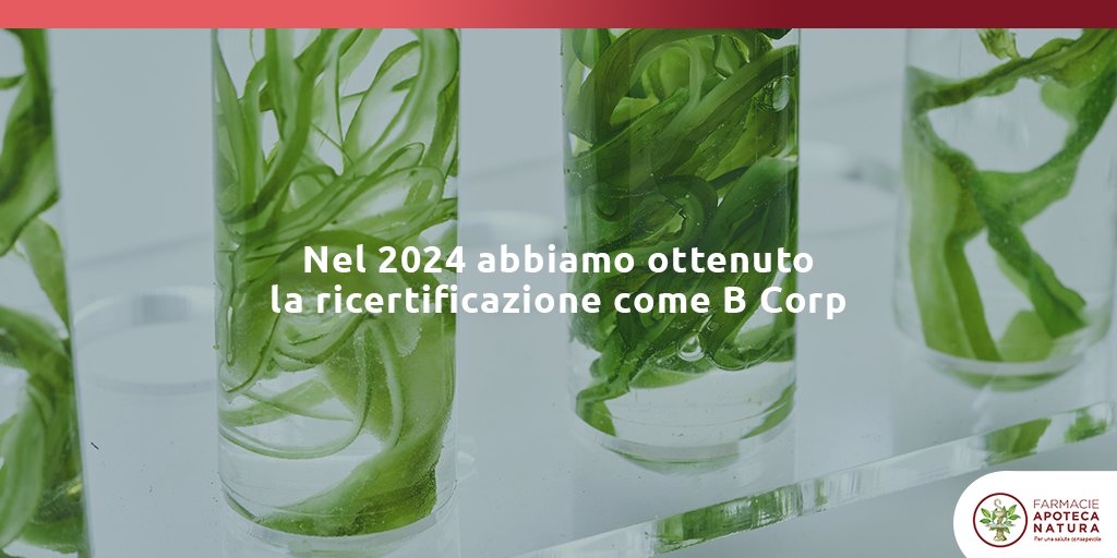 Nel 2024 abbiamo ottenuto la ricertificazione come B Corp, superando la soglia di 80 punti stabilita da B Lab
🌱Questo riconoscimento conferma la nostra direzione: costruire ogni giorno un’impresa capace di generare valore per le persone e per il pianeta.