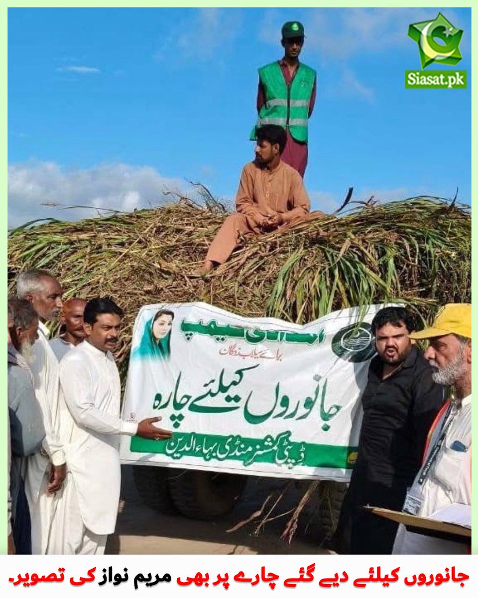 آپ کسی اچھے ہوٹل کا کمرہ بک کرائیں اس کے فریج میں چاکلیٹس اور کولڈ ڈرنکس کے کین مل جاتے ہیں آپ کو۔ غیر مسلم ممالک میں تو بیئر اور "دوسری ڈرنکس"بھی مل جاتی ہیں۔ نئے نئے لوگوں کو وہ سب فری لگ رہا ہوتا لیکن جاتے ہوئے اس کے پیسے دینے پڑتے