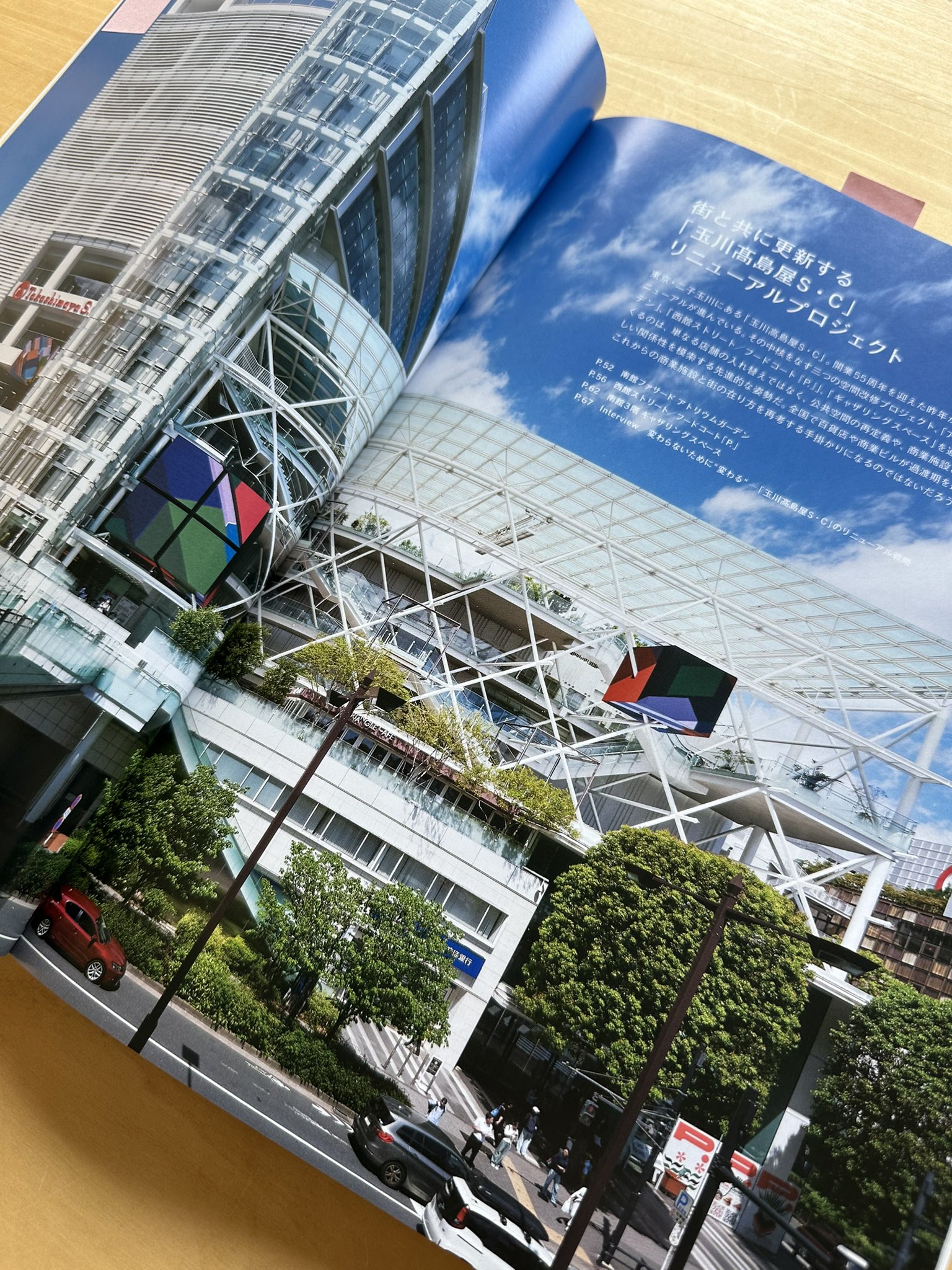 玉川信一、【神の標本】、希少な額装用画集画、新品高級額 額装付 玉川信一、【神の標本】、希少な額装用画集画、新品高級額 額装