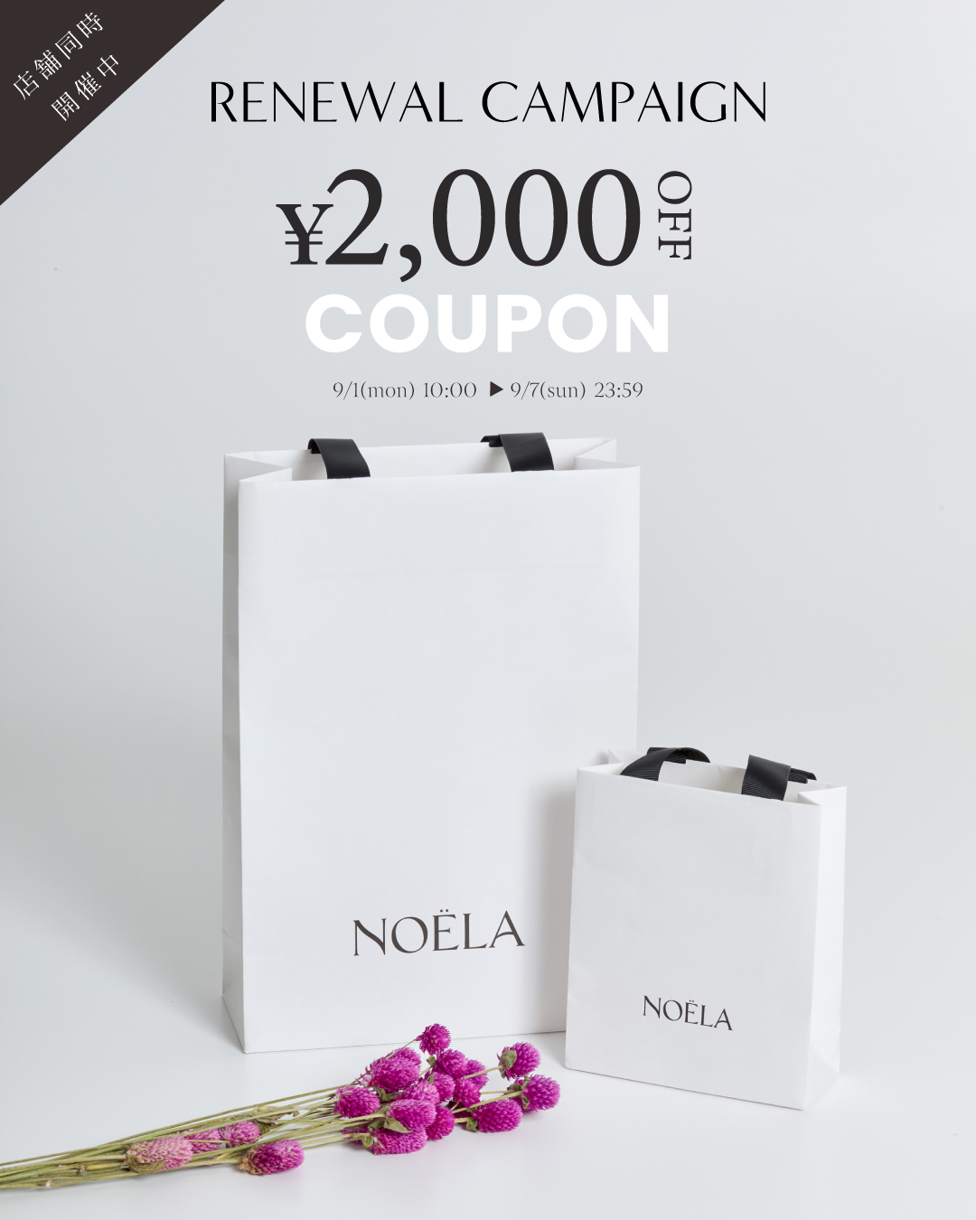 NOELA_official (@Noela_official) / X