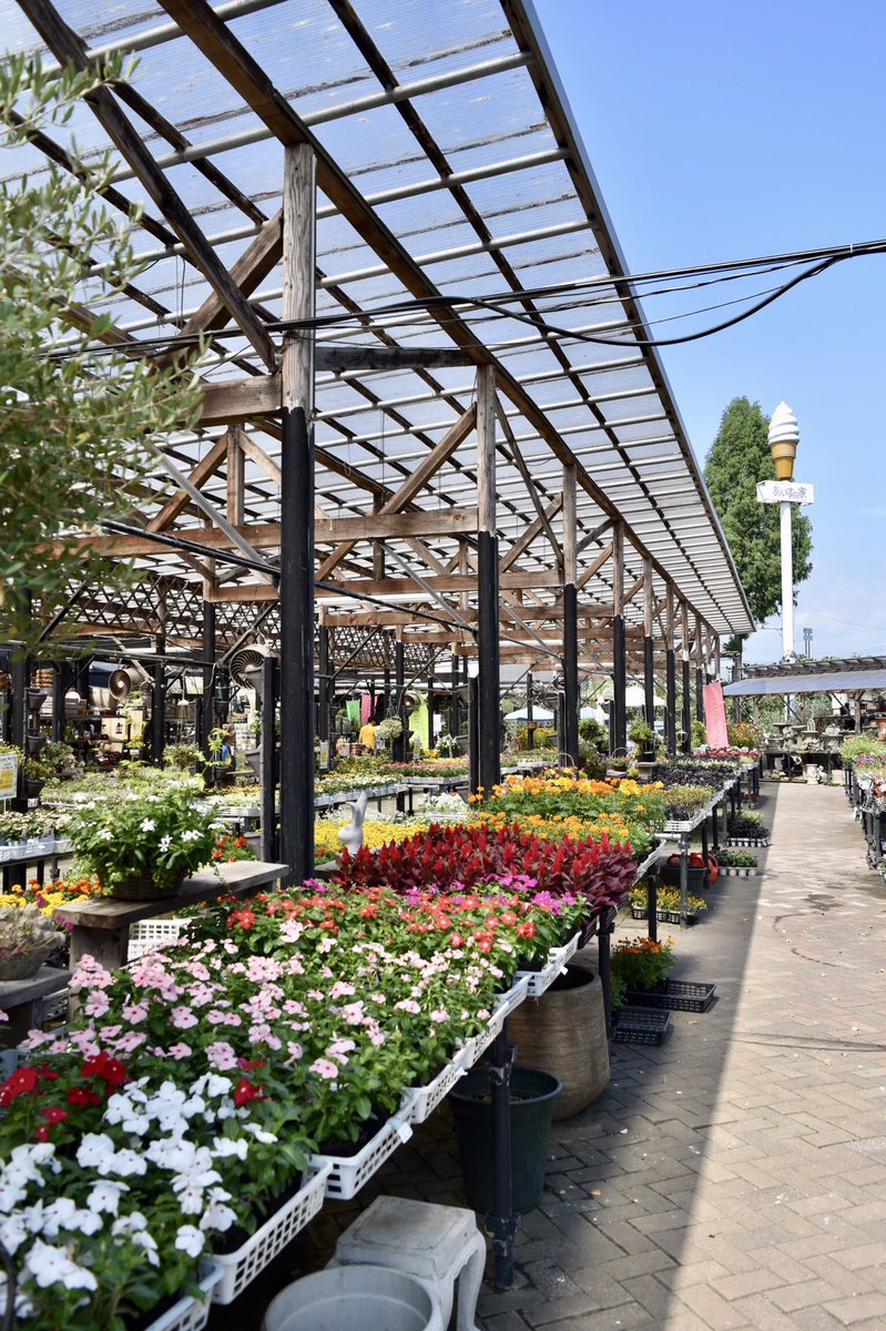 ちょっとだけしっとりとした高級感を
馬もいるし、王子様こいこい

 #ガーデンガーデン