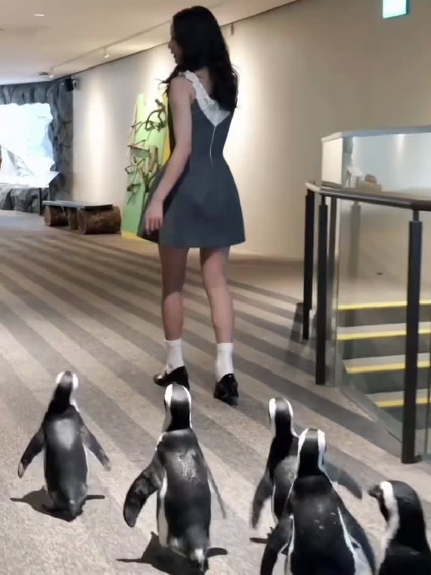 She be twinning with the penguins 🐧