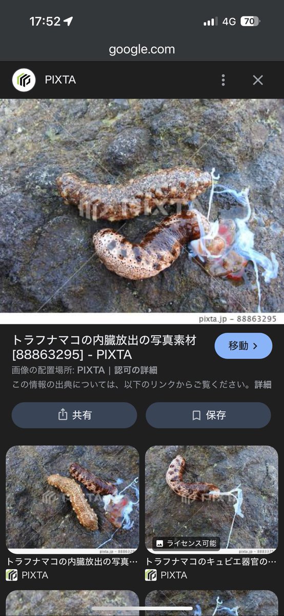 oyabin67's tweet photo. @higedrums そうそう、白い糸みたいなやつ
塩辛にして美味いらしいわね https://t.co/j3TZW1IqwZ