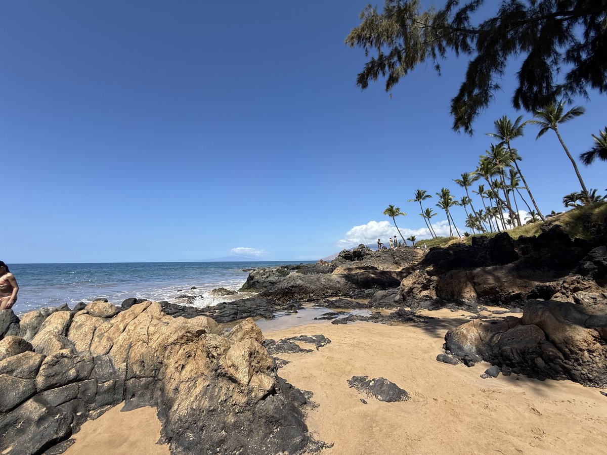 MauiVisionRent's tweet image. Soaking up the sun on Kihei’s stunning shores 🌊☀️ Time to unwind, play, and relax.

#Kihei #MauiVibes #BeachDay #IslandLife #OceanViews #TropicalEscape #ParadiseFound #BeachVibes #TravelHawaii #RelaxAndUnwind