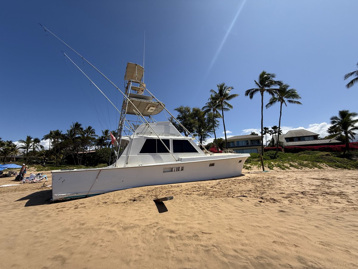 MauiVisionRent's tweet image. Soaking up the sun on Kihei’s stunning shores 🌊☀️ Time to unwind, play, and relax.

#Kihei #MauiVibes #BeachDay #IslandLife #OceanViews #TropicalEscape #ParadiseFound #BeachVibes #TravelHawaii #RelaxAndUnwind