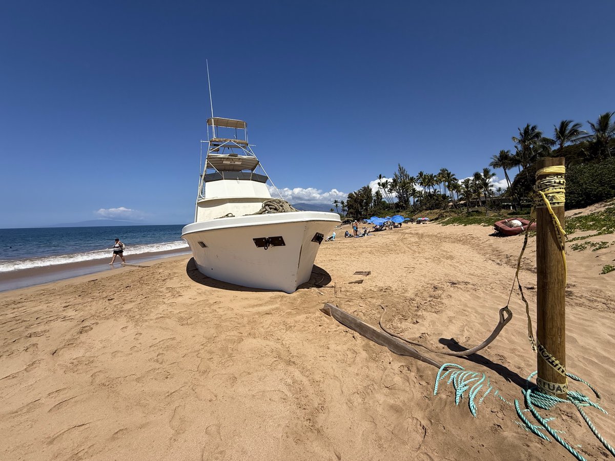 MauiVisionRent's tweet image. Soaking up the sun on Kihei’s stunning shores 🌊☀️ Time to unwind, play, and relax.

#Kihei #MauiVibes #BeachDay #IslandLife #OceanViews #TropicalEscape #ParadiseFound #BeachVibes #TravelHawaii #RelaxAndUnwind