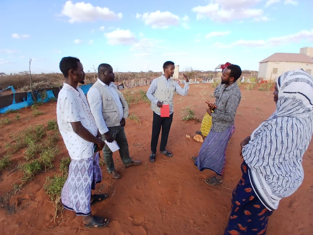SDCSOM's tweet image. JRP Phase 2 field assessments underway 🌱 In Bursalah, our agronomists consulted farmers on seed choices, land prep &amp;amp; best cultivation practices. #JRP2 #ResilienceBuilding #FoodSecurity @SDCSOM with @WFPSomalia