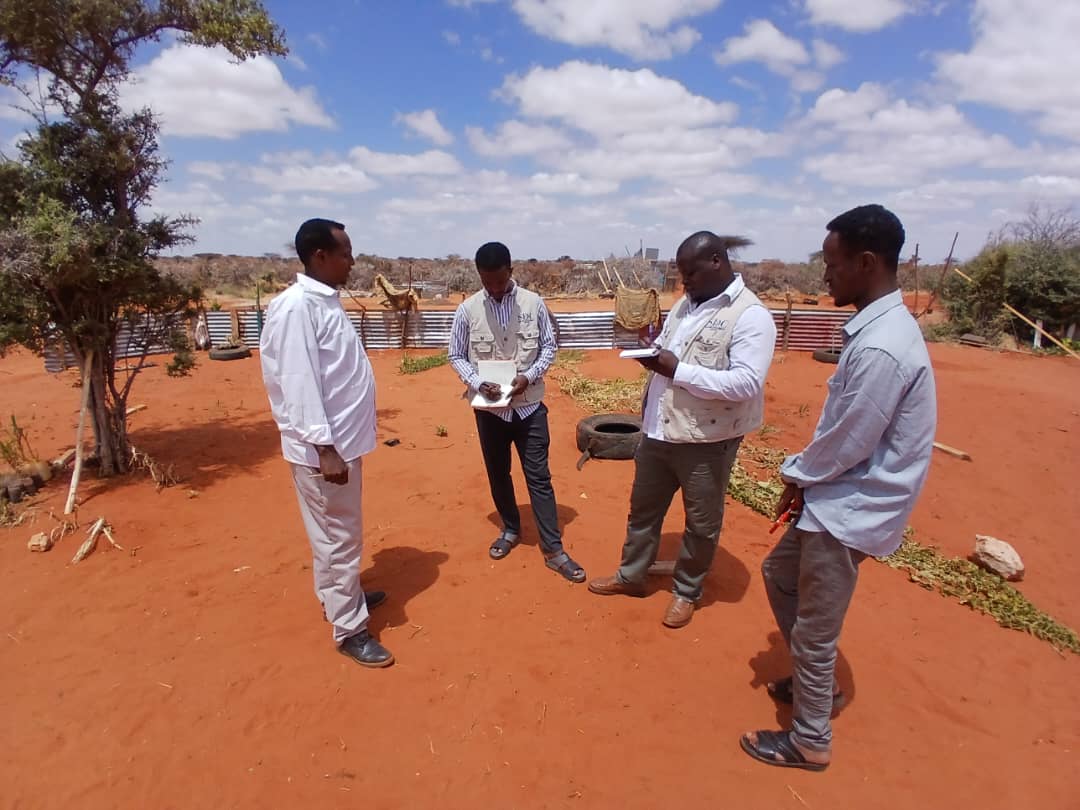 SDCSOM's tweet image. JRP Phase 2 field assessments underway 🌱 In Bursalah, our agronomists consulted farmers on seed choices, land prep &amp;amp; best cultivation practices. #JRP2 #ResilienceBuilding #FoodSecurity @SDCSOM with @WFPSomalia