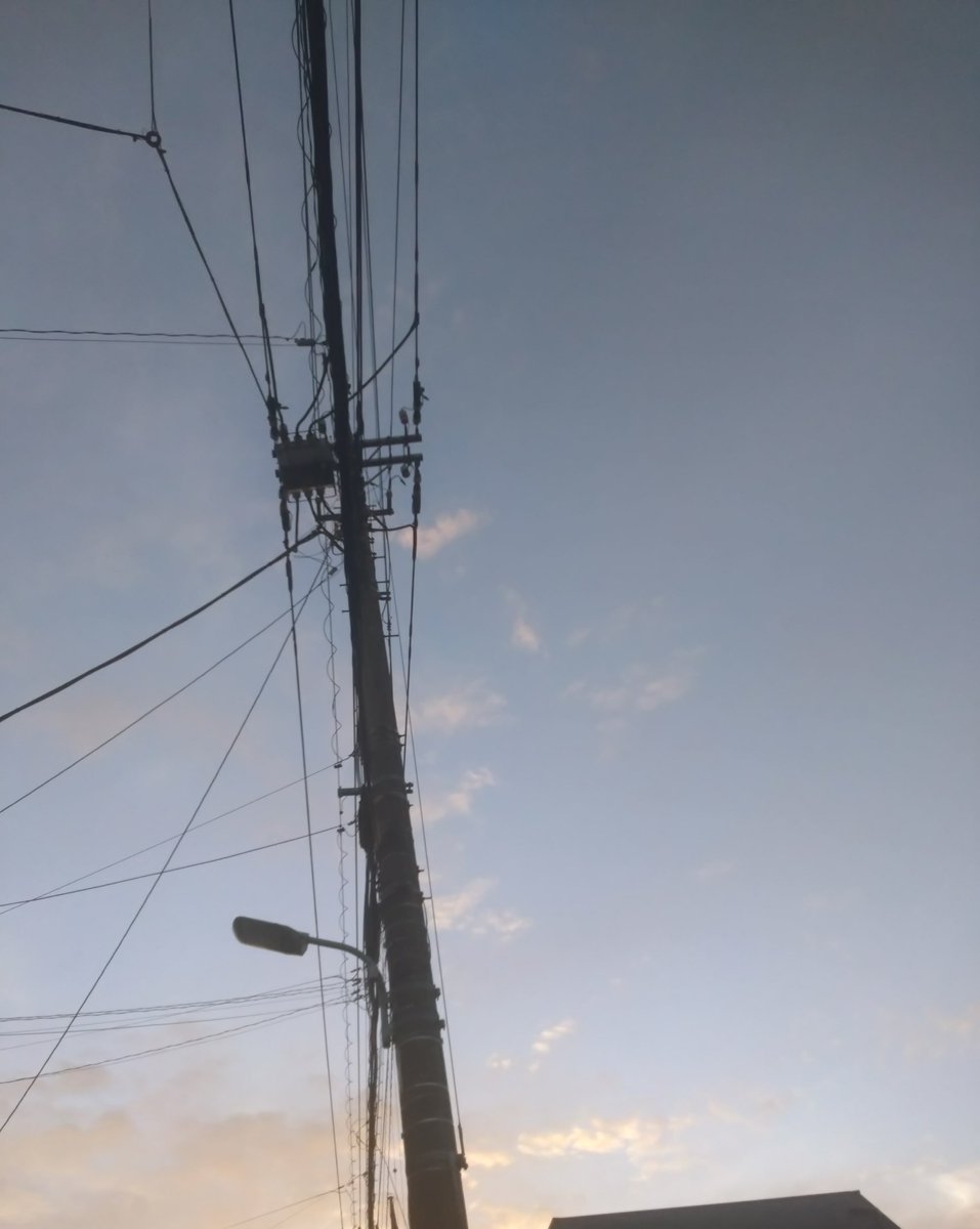 電柱でござる