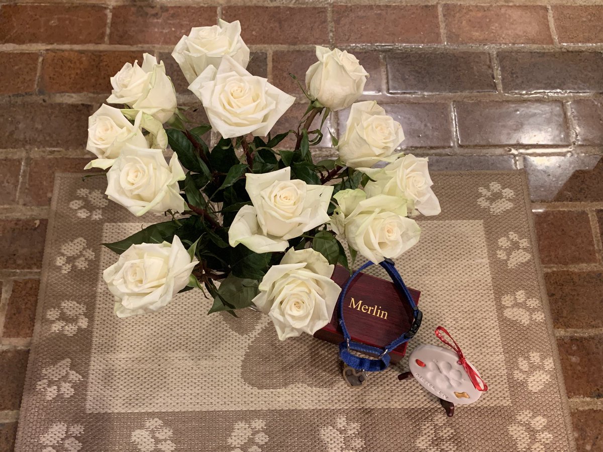 Kurt Ludlow tweet media