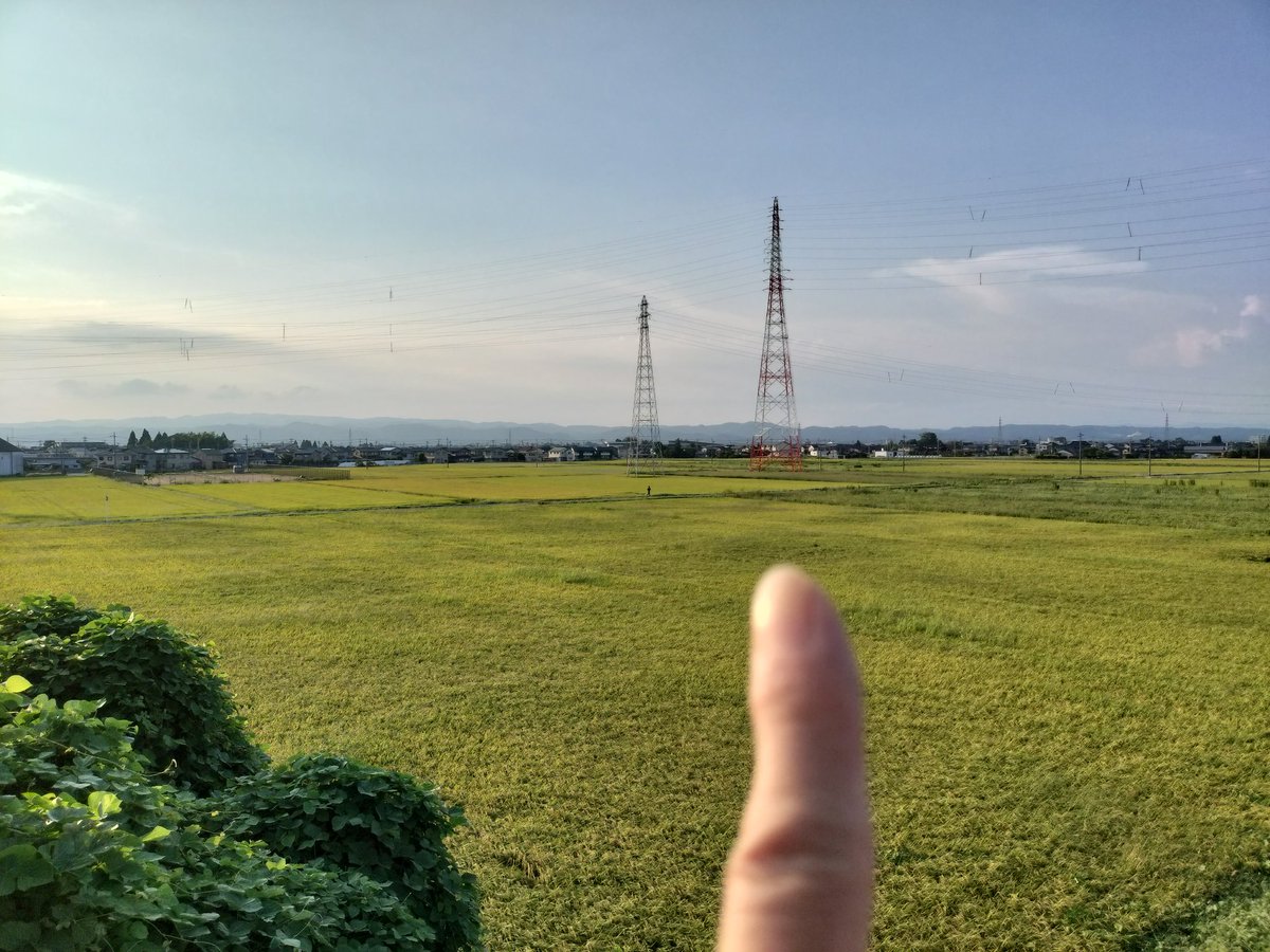 タバコを買いにローソンまで👣
クツの日？やけど、やっぱしサンダルで😅　こだ暑い中（外？）ジョギングらしき人物発見！ジョギング童貞は卒業する日が来るのだろ〜か🤔無も知らなき草花の生命力に、ちと感心、なしん😁
ごタコ〜🐙あれ〜＼(^o^)／