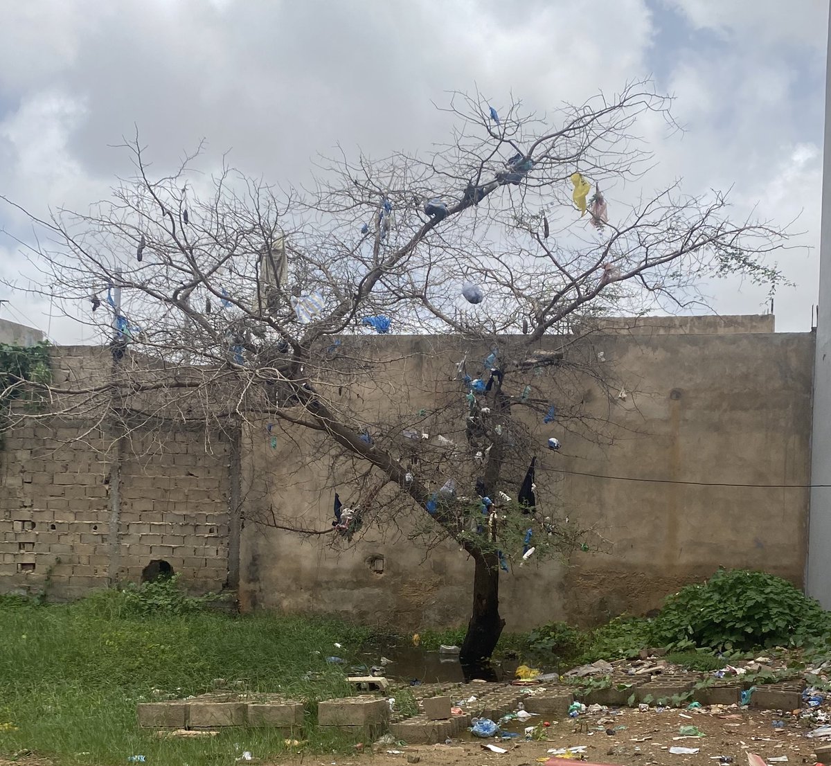 Njool mu ñuul🥳 (grand bi)🇸🇳🏳 (@diaboneb) on Twitter photo 