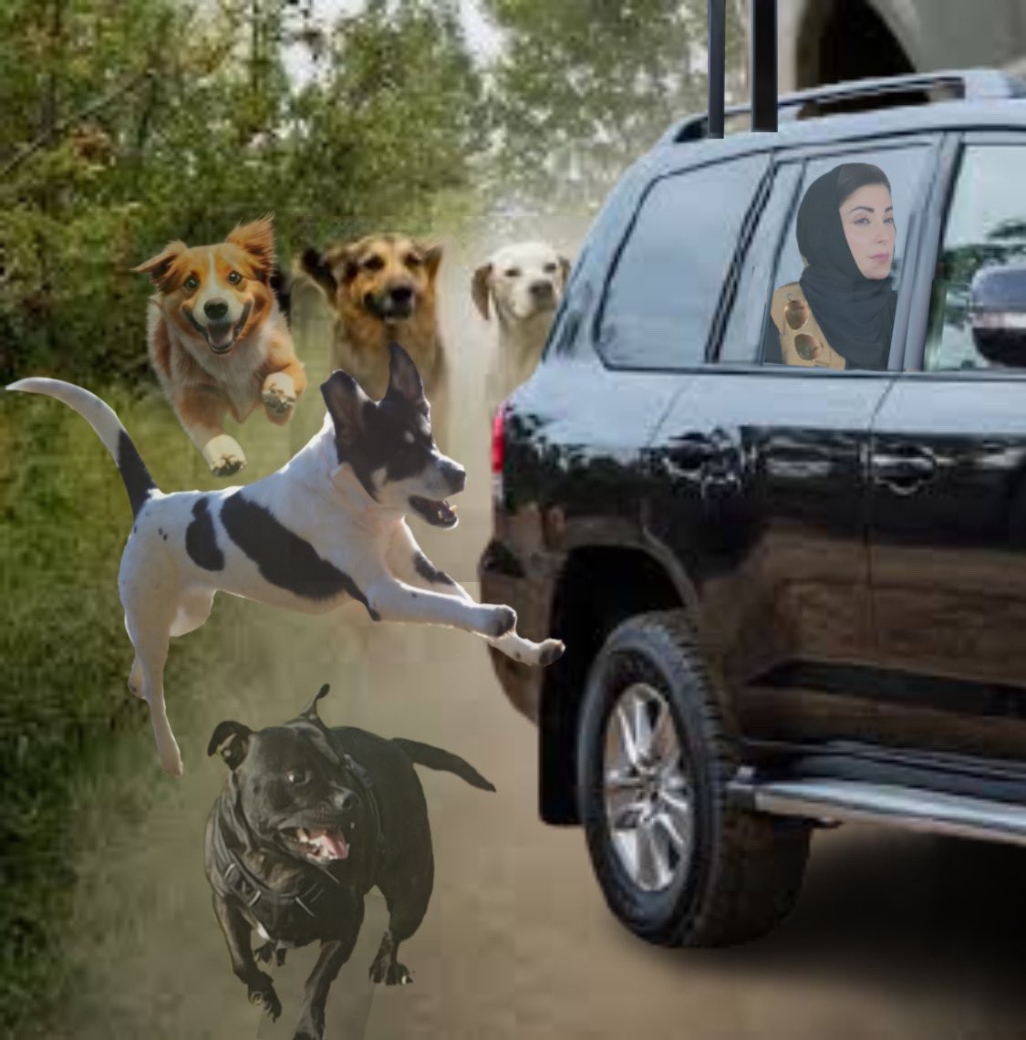 اورسیز یوتھیے، یوتھڑ یو ٹیوبرز،شہباز گِل ان بلیک لیڈنگ ۔😛