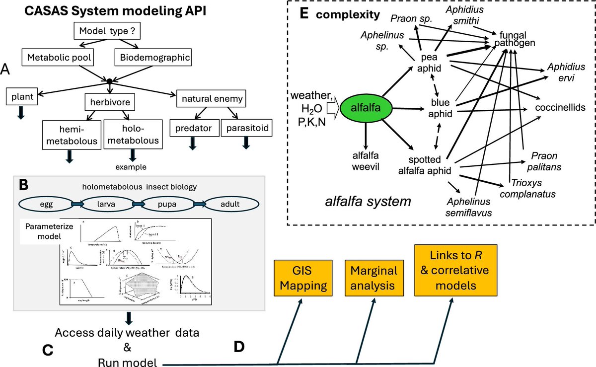 Geospatial physiologically based demographic modeling and analysis of thirteen invasive species in Africa: why the biology matters

link.springer.com/article/10.118…