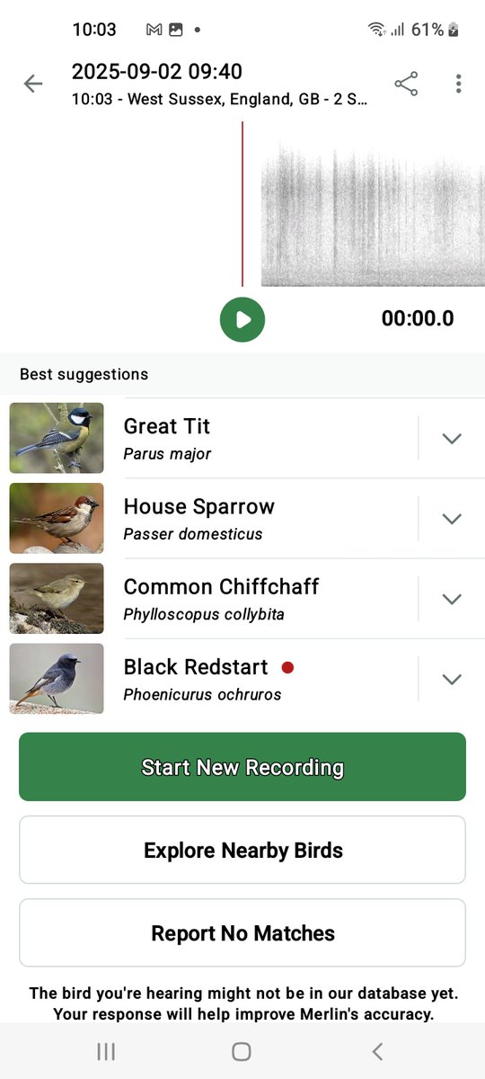 22 Bird species detected by Merlin in St Margaret's Wood (Loop) so far this morning, including a first-time appearance of a rare Black Redstart. Both Great Spotted and Green woodpeckers were also detected. 
🎶🐦‍⬛