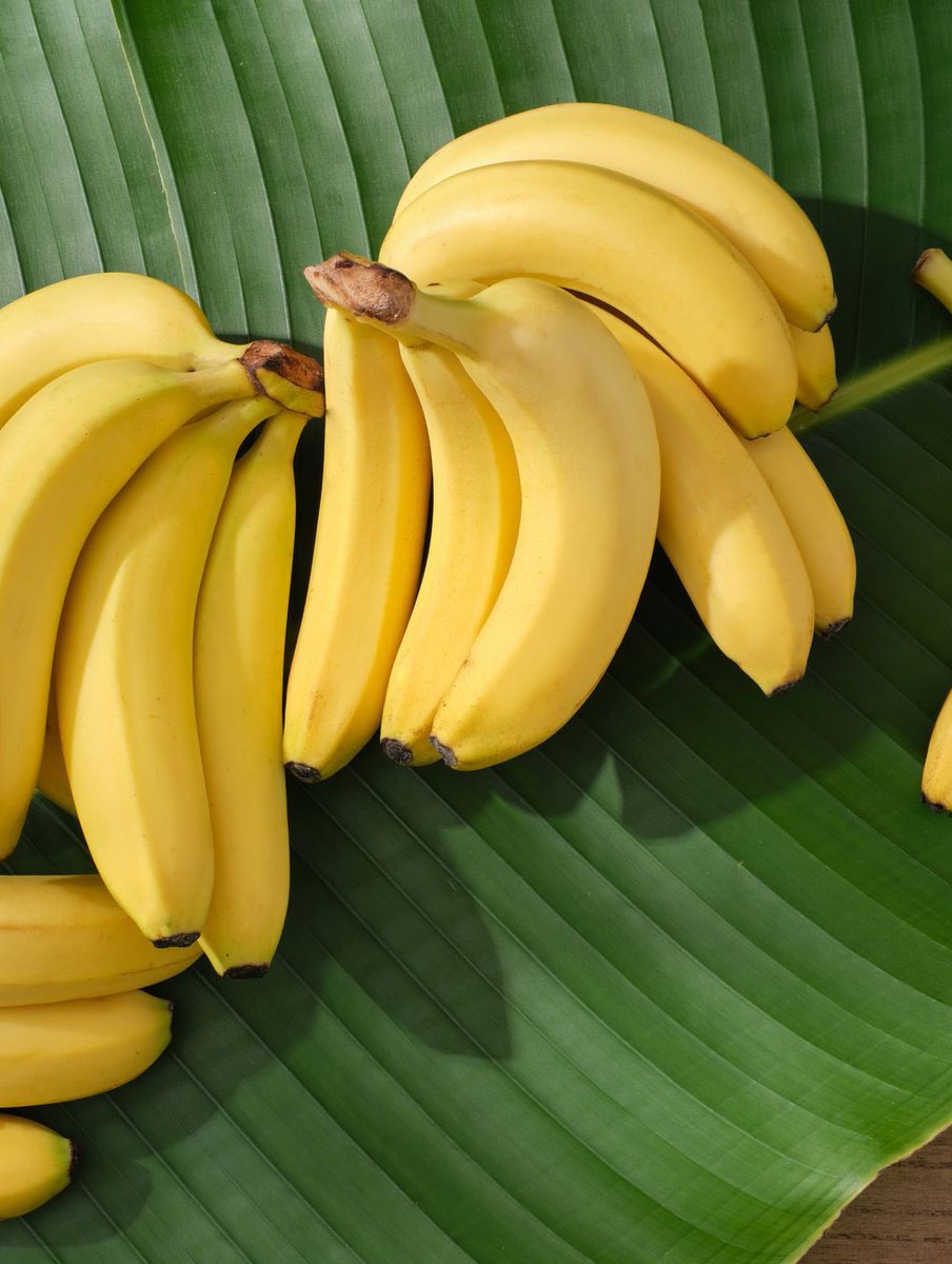 GM BANAS 🍌🌅 &amp; hello September 🍂

Let’s gooo Tribe 🚀🔥