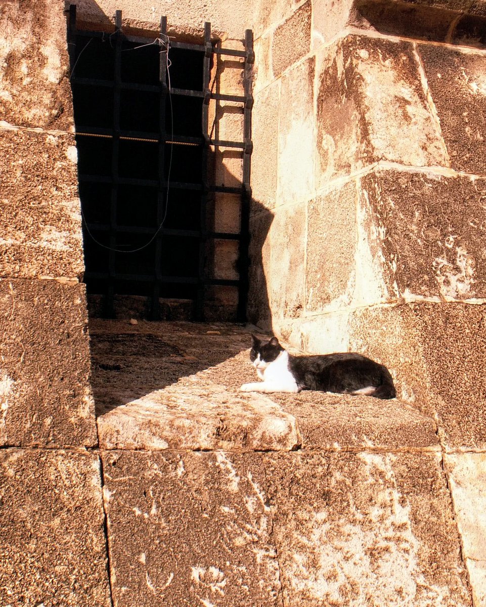 #AlphabetChallenge #WeekJforJetBlack 
Jet black and white anyway 😻
Palace of the Grand Master, Rhodes