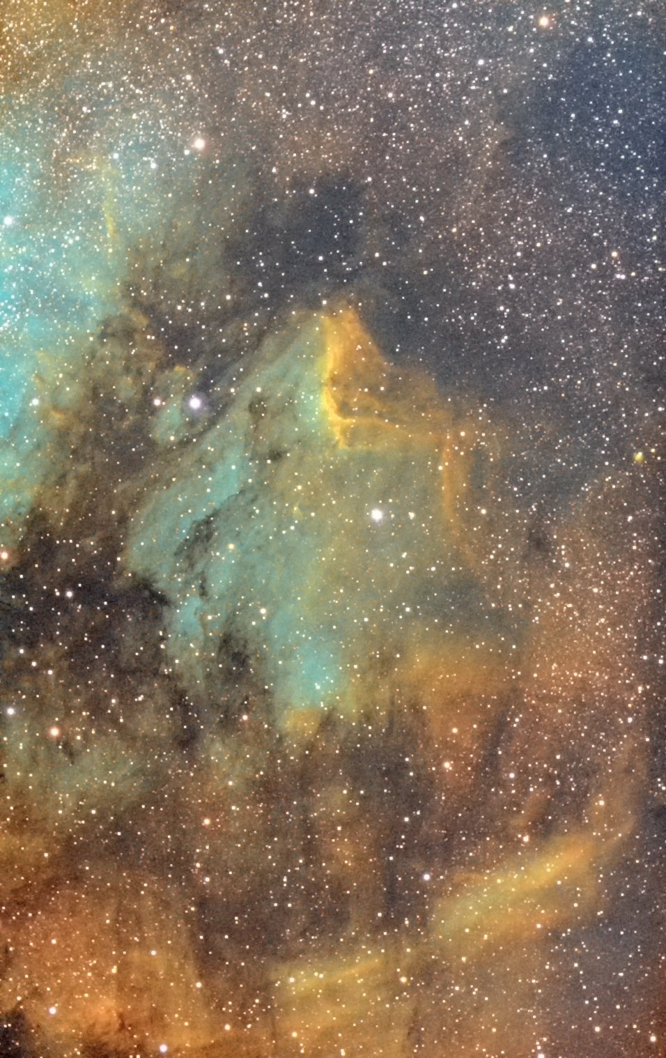 ☪︎ 夜空星月 ☪︎ページ CBA CBH 専用背面デザインシート】 夜空 月光 星空 満月 雲