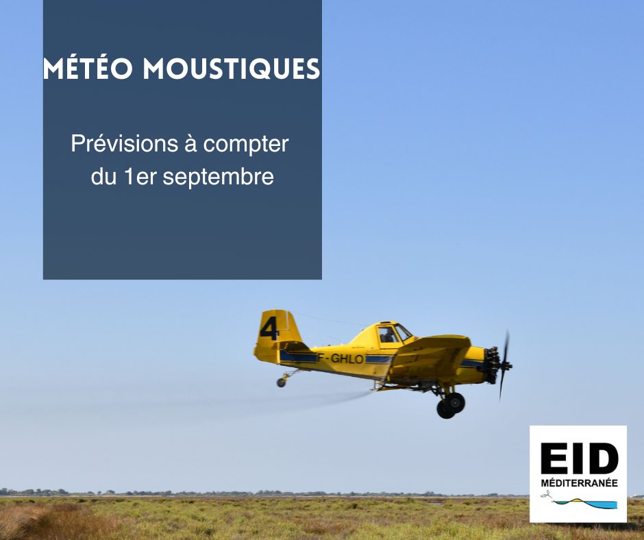 🦟Météo #moustiques ruraux
Prévisions à compter du 1er septembre en <a href="/Occitanie/">Région Occitanie</a>
par département : eid-med.org/bul-operationn…
De nouvelles apparitions de larves sans trop de nuisance ressentie en zones urbaines.
📍 <a href="/departement13/">Département des Bouches-du-Rhône</a>
📍 <a href="/Gard/">Conseil départemental du Gard</a>
📍 <a href="/Heraultinfos/">Département de l'Hérault</a>
📍 #Aude
📍 <a href="/leDepartement66/">Département des Pyrénées-Orientales</a>