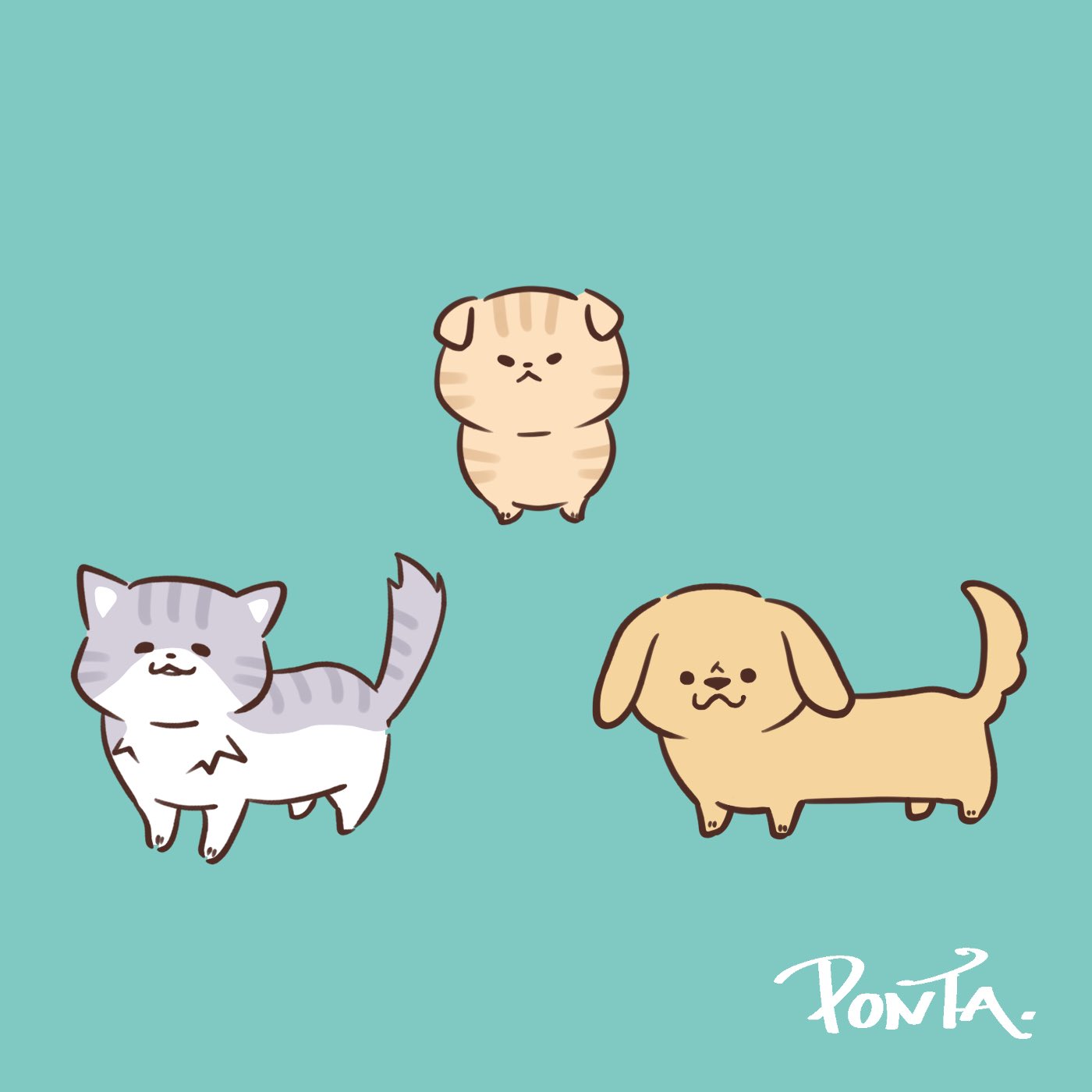 Apple - ぽんた❗️ ぽんた☺︎🦖 (@ponta_pocopoco) / X